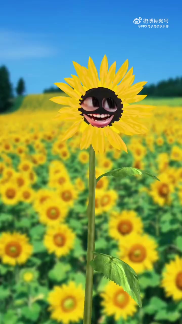 谈球吧(中国)官方网站什么妖魔鬼怪？FPX发布整活视频：我系凤宝，我同意LPL22号开赛！